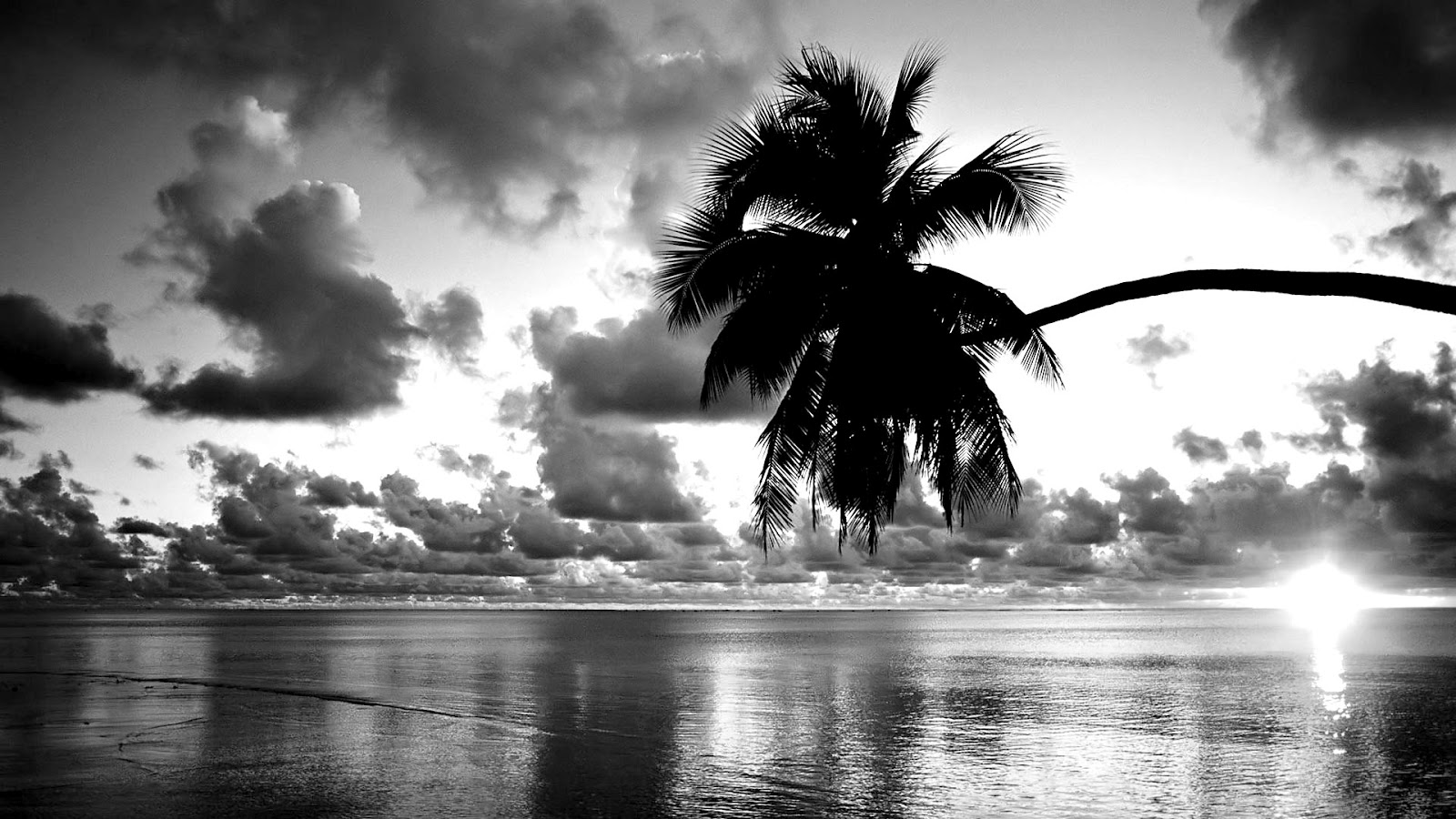 Black-White-Sunset-Beach-Wallpaper-HD